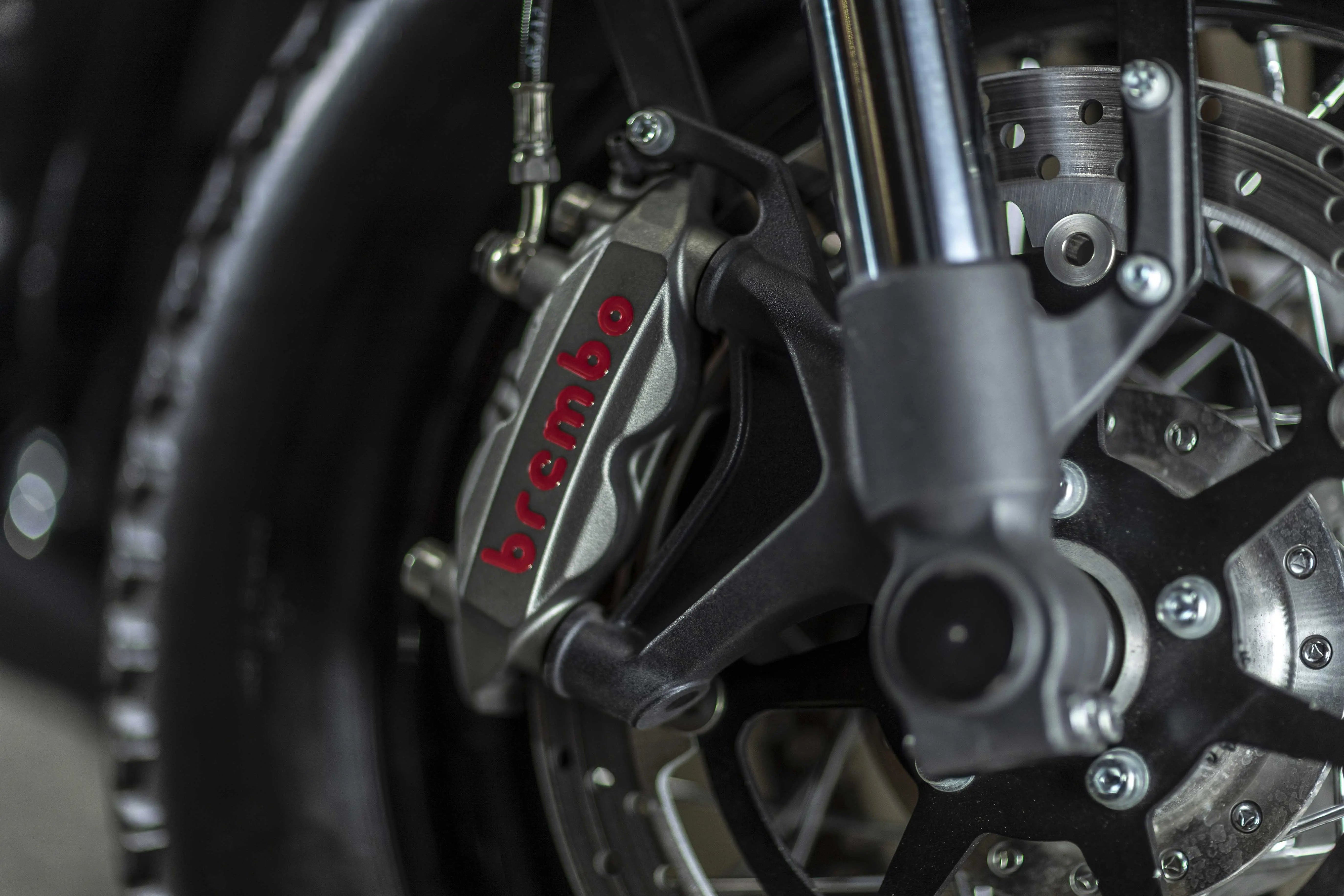 Moto Stardust #000 BLK & Brown Leather Hedonic