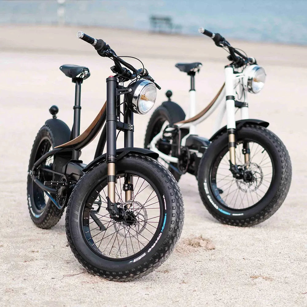 Vélo électrique - Heritage Heroes Hedonic x Atelier Héritage Bike