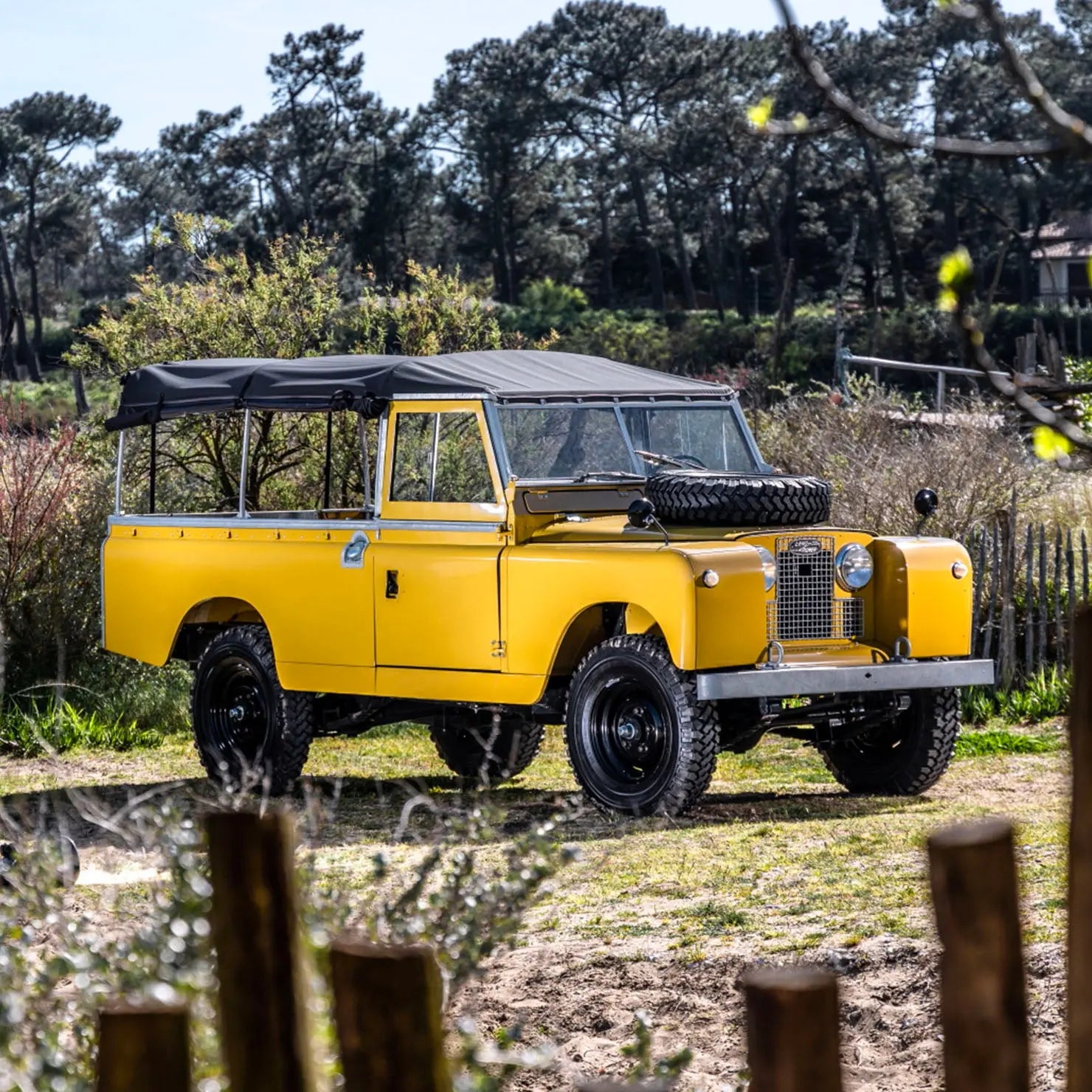Land Rover Serie II - 109 Soft Top - Mustard Yellow - Hedonic Store