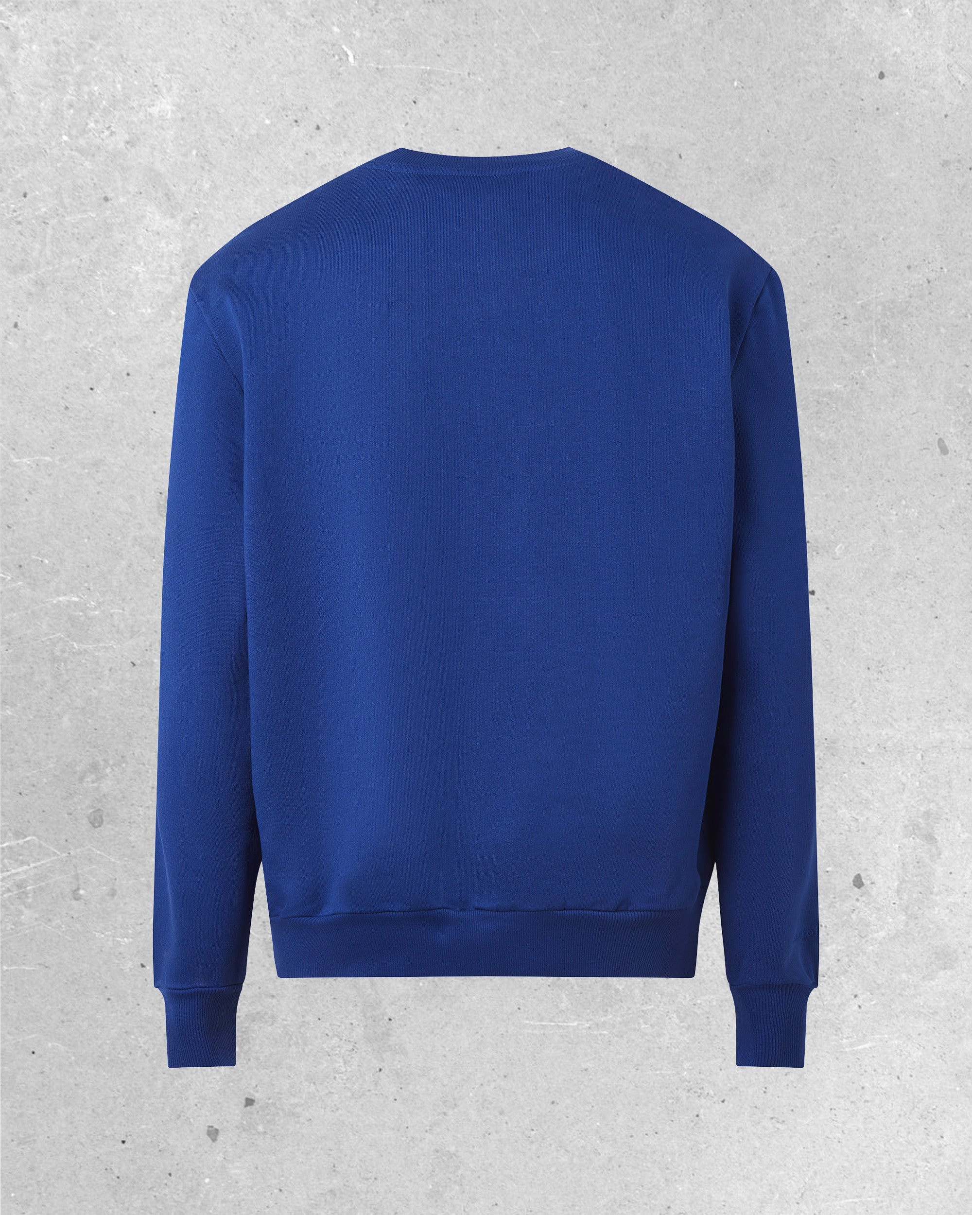 Sweat Crewneck Regular - The Seal - Blue Shades